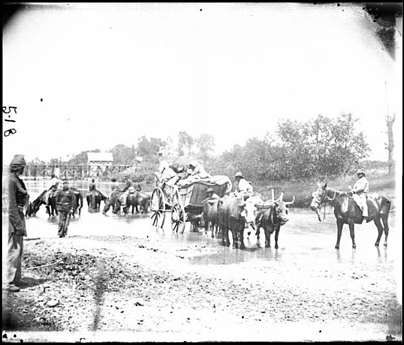 1862 photograph of freedom seekers crossing the Rappahannock River in Virginia with an ox-drawn wagon, horses, and mules