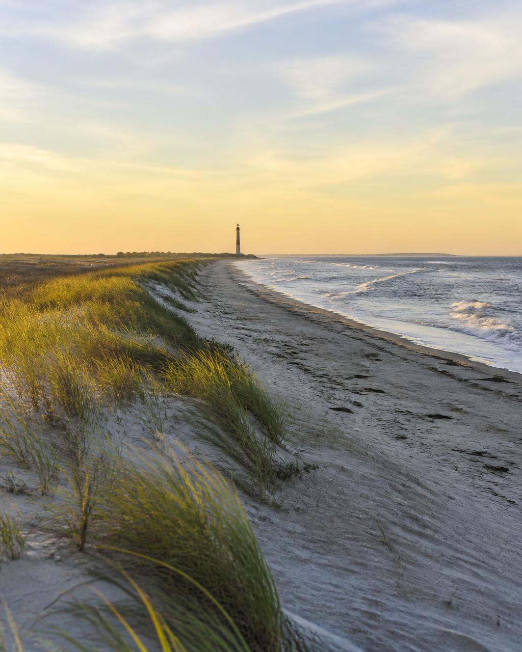 Present-day view of the Morris Island shoreline in South Carolina, former site of Fort Wagner, with dunes, beach grass, and a distant lighthouse.